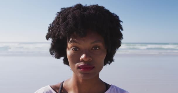 Porträt Einer Attraktiven Afroamerikanischen Frau Die Einem Sonnigen Tag Strand — Stockvideo