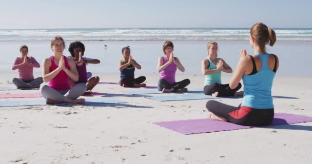 Multi Ethnic Group Female Friends Enjoying Exercising Beach Sunny Day — Stock Video