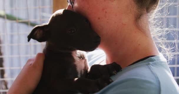 救助された子犬を抱えている動物の避難所で青い制服を着た白人女性ボランティアの終わりスローモーションで晴れた日に — ストック動画