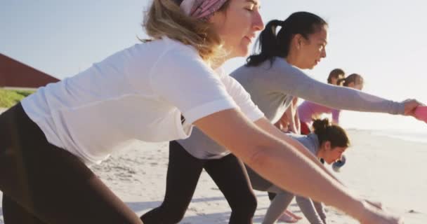 晴れた日にビーチで運動を楽しみ ヨガを練習し ピンクのスポーツマットを展開する女性の友人の多民族グループ — ストック動画