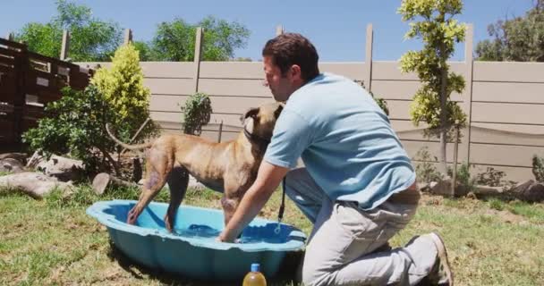 動物保護施設の白人男性ボランティア遅い動きで晴れた日に青いプラスチック製の浴槽に立って犬を洗う — ストック動画