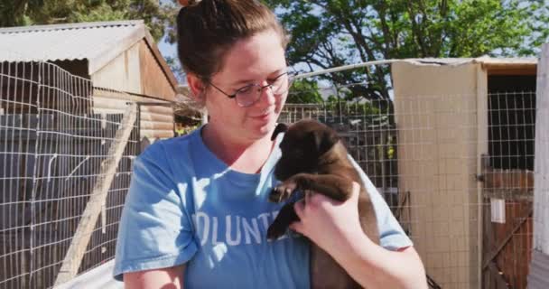 Una Voluntaria Caucásica Vistiendo Uniforme Azul Refugio Animales Caminando Sosteniendo — Vídeos de Stock