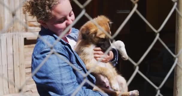 遅い動きで晴れた日に 彼女の腕の中で救助犬を保持動物の避難所で白人女性ボランティア — ストック動画