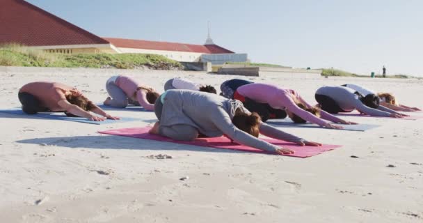 在阳光灿烂的日子里 一群多种族的女性朋友在海滩上运动 练习瑜伽 伸展瑜伽姿势 — 图库视频影像
