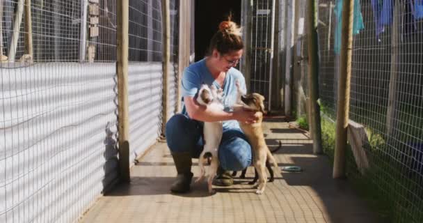 在一个阳光明媚的日子里 一名身穿蓝色制服的白人女性志愿者在动物收容所蹲伏 爱抚两只获救的小狗 动作缓慢 — 图库视频影像