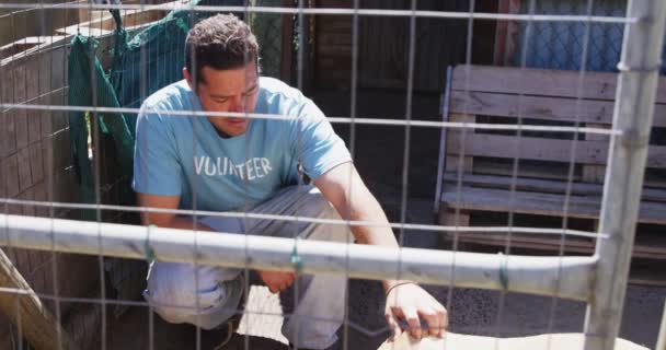 Egy Fehér Férfi Önkéntes Kék Egyenruhát Visel Egy Állatmenhelyen Egy — Stock videók