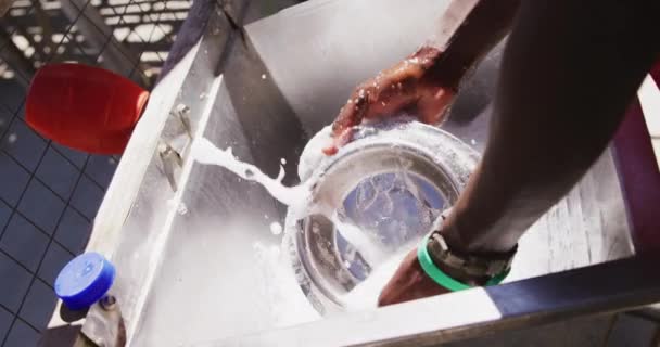 Close Voluntário Afro Americano Abrigo Animais Uma Sala Lavagem Tigelas — Vídeo de Stock