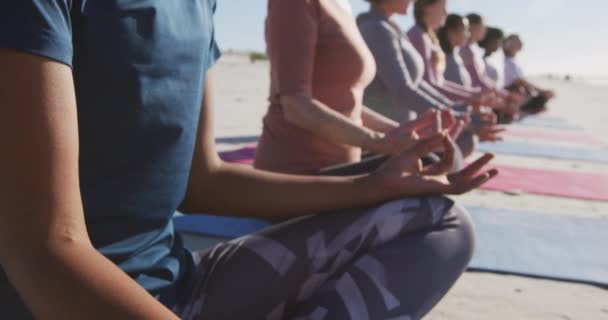 Multi Ethnic Group Female Friends Enjoying Exercising Beach Sunny Day — Stock Video