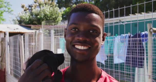 Retrato Voluntário Afro Americano Vestindo Camiseta Vermelha Abrigo Animais Segurando — Vídeo de Stock