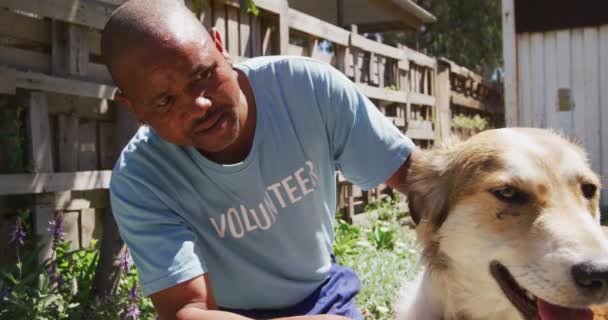 Afroamerikansk Man Bär Blå Uniform Ett Djurhem Vårdar Hund Solig — Stockvideo