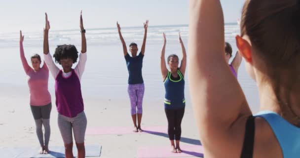 Wieloetniczna Grupa Przyjaciółek Korzystających Ćwiczeń Plaży Słoneczny Dzień Ćwiczących Jogę — Wideo stockowe