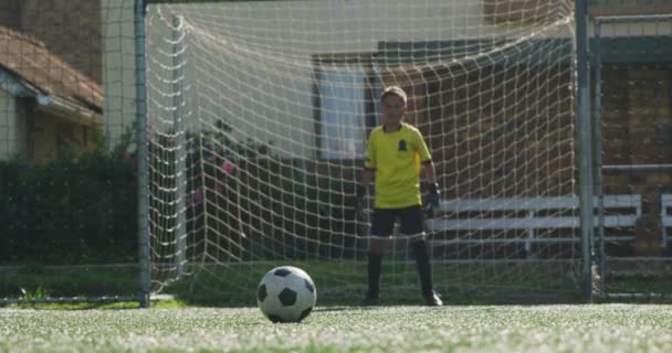 Grupo Multiétnico Jugadores Fútbol Niños Que Usan Sus Tiras Equipo — Vídeo de stock