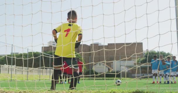 Multietnisk Grupp Med Två Barnlag Som Spelar Fotboll Grön Fotbollsplan — Stockvideo