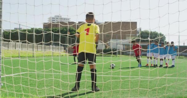 Многонациональная Группа Двух Детских Команд Играющих Футбол Зеленом Футбольном Поле — стоковое видео