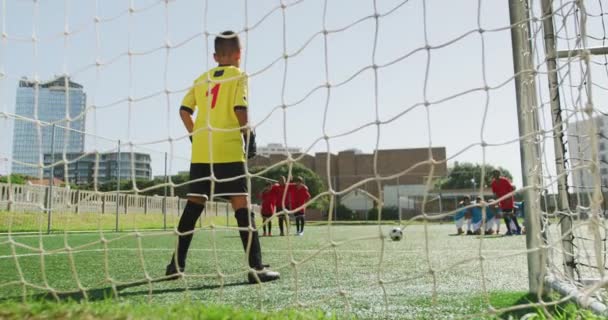 Wieloetniczna Grupa Dwóch Drużyn Dziecięcych Grających Piłkę Nożną Boisku Zielonej — Wideo stockowe
