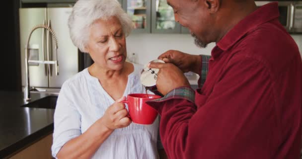 Senior Afro Amerikaanse Man Gemengde Ras Vrouw Die Tijd Thuis — Stockvideo