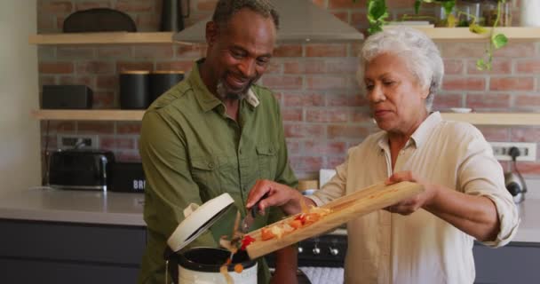 Senior Afro Amerikaanse Man Gemengde Ras Vrouw Tijd Doorbrengen Thuis — Stockvideo