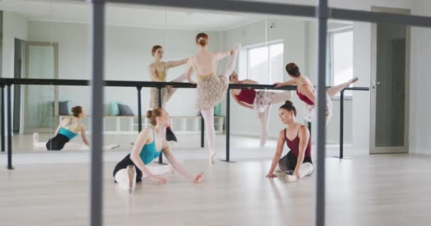 Vier Blanke Balletdanseressen Dragen Tricots Oefenen Samen Interacteren Strekken Zich — Stockvideo