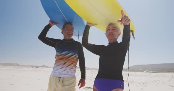 シニア白人のカップルはビーチで時間を楽しみ ゆっくりとした動きで晴れた日に頭の上にサーフボードを立って保持しています リラックスした夏のビーチ休暇 — ストック動画
