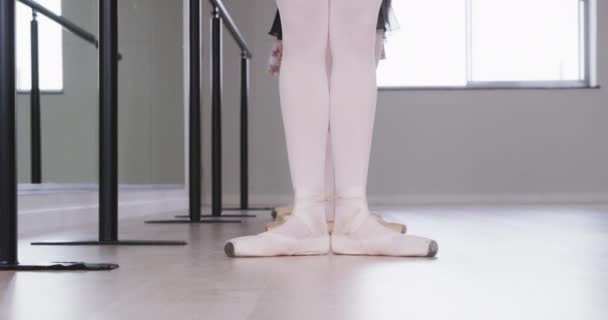 Nízký Úsek Tří Bělošských Baletek Tanečnic Trikotech Cvičících Společně Tyčí — Stock video