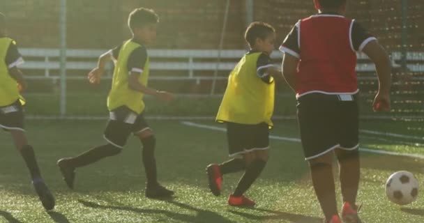 Grupo Multiétnico Dos Equipos Niños Jugando Fútbol Campo Fútbol Verde — Vídeo de stock