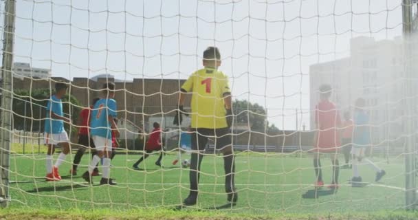 Grupo Multiétnico Dos Equipos Niños Jugando Fútbol Campo Fútbol Verde — Vídeo de stock