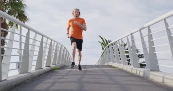 Ein Junger Athletischer Mann Aus Dem Kaukasus Der Auf Einer — Stockvideo