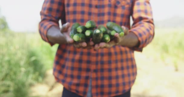 Sección Media Agricultor Afroamericano Con Una Camisa Roja Cuadros Afuera — Vídeos de Stock