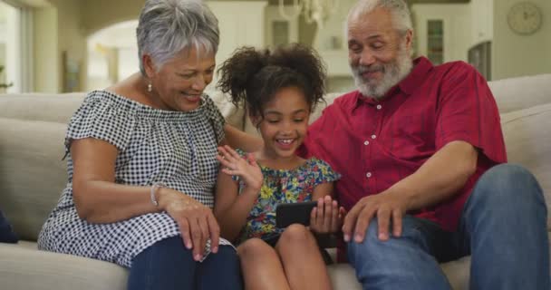 Ein Älteres Afroamerikanisches Paar Und Seine Enkelin Verbringen Die Zeit — Stockvideo