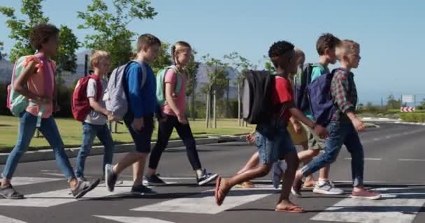 Gyalogátkelőn Áthaladó Iskolatáskákat Cipelő Többnemzetiségű Gyermekcsoport Lassított Felvételen Halad Úton — Stock videók