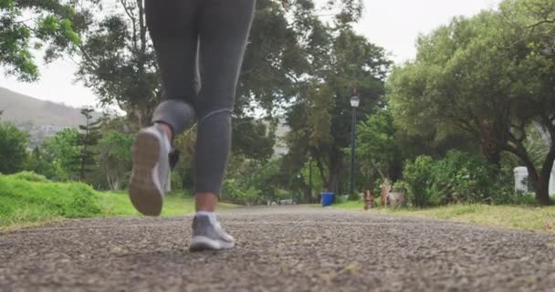 Visão Traseira Mulher Caucasiana Ajuste Sênior Trabalhando Parque Vestindo Roupas — Vídeo de Stock