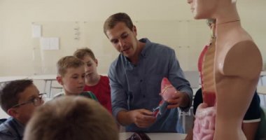 Kafkas erkek öğretmen, çok ırklı bir grup çocuğa biyoloji dersi sırasında yavaş çekimde insan organlarını öğretmek için insan anatomisi modeli kullanıyor. İlkokulda eğitim.