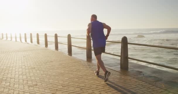 Senior Fit Homme Caucasien Travaillant Sur Promenade Bord Mer Portant — Video