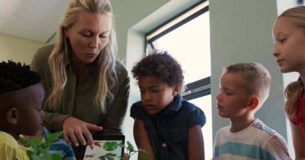 Maestra Caucásica Grupo Multiétnico Niños Pie Juntos Mirando Plantas Usando — Vídeos de Stock