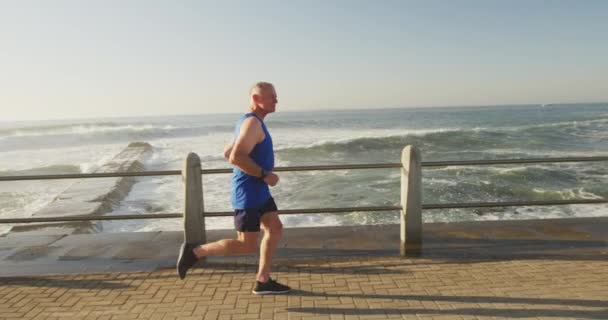 シニアフィットゆっくりとした動きで晴れた日に実行され スポーツ服を着て海で遊歩道に取り組んで白人男性 退職健康的なライフスタイル活動 — ストック動画