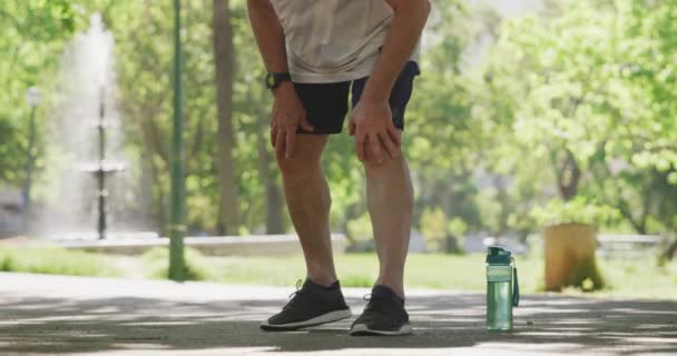 Hombre Caucásico Mayor Haciendo Ejercicio Parque Usando Ropa Deportiva Estirando — Vídeo de stock