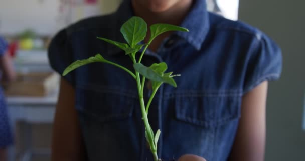 Retrato Una Niña Afroamericana Mirando Cámara Sonriendo Sosteniendo Una Planta — Vídeos de Stock