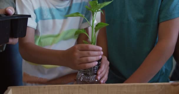 Garçons Caucasiens Debout Ensemble Regardant Les Plantes Lors Une Leçon — Video