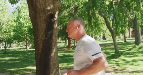 スポーツウェアを着て公園で働くシニアフィット白人男性は スローモーションで晴れた日に実行されます 退職健康的なライフスタイル活動 — ストック動画