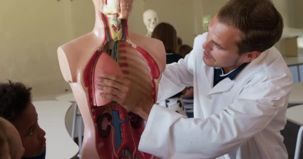 Professor Caucasiano Sexo Masculino Usando Modelo Anatomia Humana Para Ensinar — Vídeo de Stock