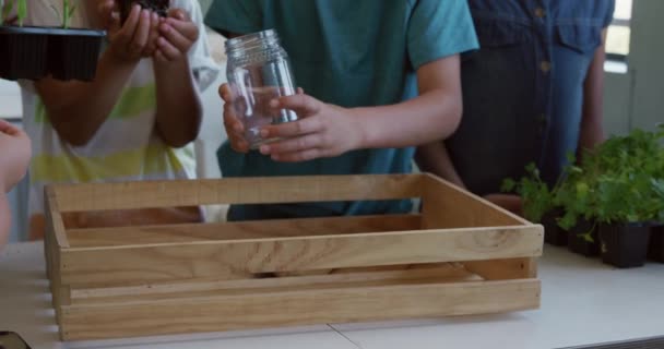 Gruppo Multietnico Bambini Che Guardano Insieme Piante Durante Una Lezione — Video Stock