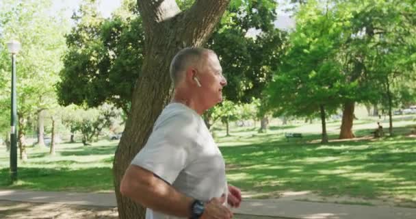 Старший Белый Мужчина Тренируется Парке Спортивной Одежде Бегает Солнечный День — стоковое видео