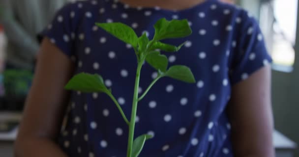 Sección Media Una Niña Afroamericana Pie Sosteniendo Una Planta Durante — Vídeos de Stock