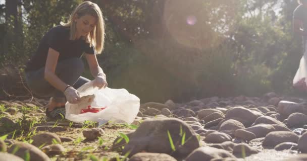 Caucasian Female Volunteer Cleaning River Sunny Day Countryside Picking Rubbish — Stock Video