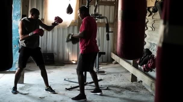 African American Male Boxer Sportkläder Och Boxningshandskar Träning Township Boxning — Stockvideo