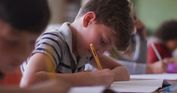 Blanke Jongens Die Boeken Schrijven Terwijl School Hun Bureau Zitten — Stockvideo