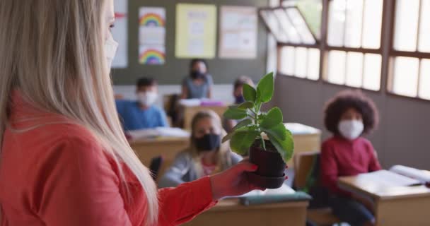 Profesora Mostrando Una Maceta Grupo Niños Clase Escuela Todos Con — Vídeos de Stock