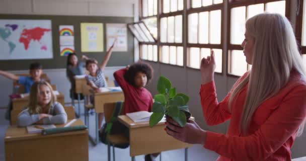 学校の授業で多民族の子供たちに植物の鍋を示す女性教師 Covid19時の初等教育社会的距離の健康上の安全性スローモーションでコロナウイルスパンデミック — ストック動画