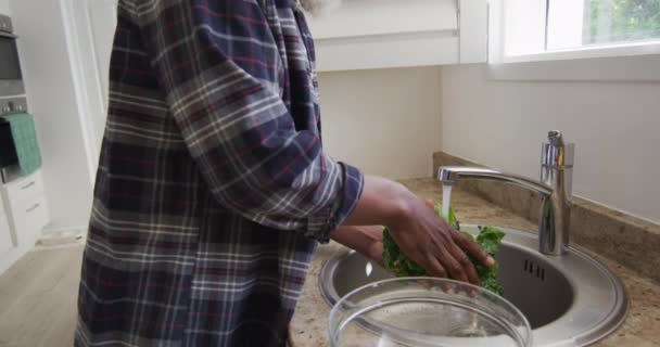 Hombre Mayor Afroamericano Pie Una Cocina Lavando Una Col Distanciamiento — Vídeos de Stock