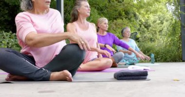 Yoga yapan, odaklanmış ve dingin bir grup kadın. Toplantıyı üst düzey üst düzey çift ırklı kadın yönetiyor, sağlık ve farkındalığı teşvik ediyor, yavaş çekim.